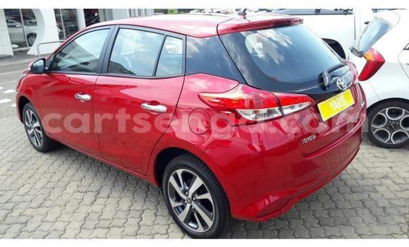 Buy Used Toyota Yaris Red Car in Bhunya in Manzini Buy Used Toyota Yaris Red Car in Bhunya in Manzini