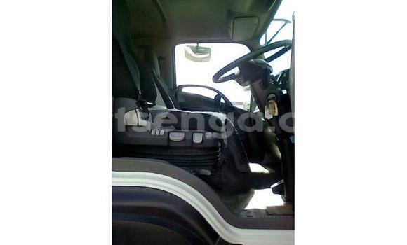 Buy Used Isuzu TF (Pickup) White Car in Bhunya in Manzini Buy Used Isuzu TF (Pickup) White Car in Bhunya in Manzini