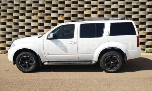 Nunua Ilio tumika Nissan Pathfinder White Gari ndani ya Big Bend nchini Lubombo Nunua Ilio tumika Nissan Pathfinder White Gari ndani ya Big Bend nchini Lubombo