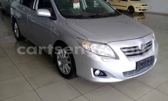Acheter Occasion Voiture Toyota Corolla Gris à Manzini, Manzini Acheter Occasion Voiture Toyota Corolla Gris à Manzini, Manzini