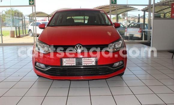 Acheter Occasion Voiture Volkswagen Polo Rouge à Manzini, Manzini Acheter Occasion Voiture Volkswagen Polo Rouge à Manzini, Manzini