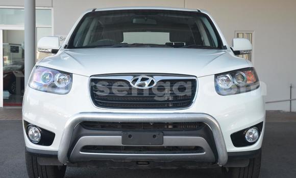 Buy Used Hyundai Santa Fe White Car in Manzini in Swaziland Buy Used Hyundai Santa Fe White Car in Manzini in Swaziland