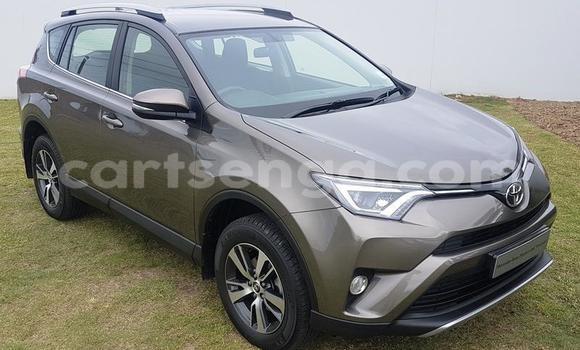 Medium with watermark b1