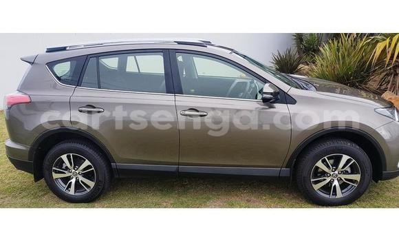 Buy Used Toyota RAV4 Brown Car in Mbabane in Manzini Buy Used Toyota RAV4 Brown Car in Mbabane in Manzini