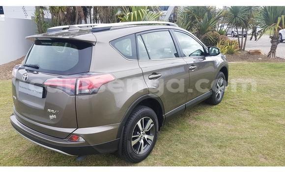 Buy Used Toyota RAV4 Brown Car in Mbabane in Manzini Buy Used Toyota RAV4 Brown Car in Mbabane in Manzini