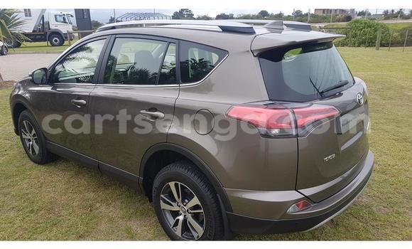Buy Used Toyota RAV4 Brown Car in Mbabane in Manzini Buy Used Toyota RAV4 Brown Car in Mbabane in Manzini