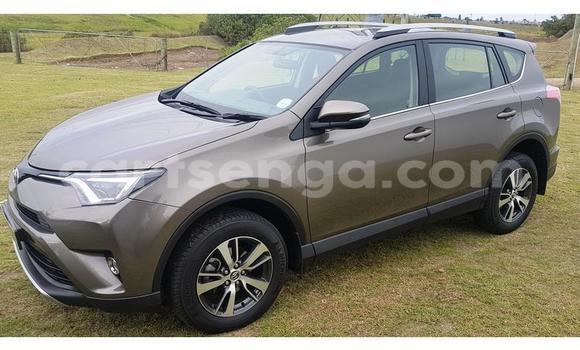 Buy Used Toyota RAV4 Brown Car in Mbabane in Manzini Buy Used Toyota RAV4 Brown Car in Mbabane in Manzini