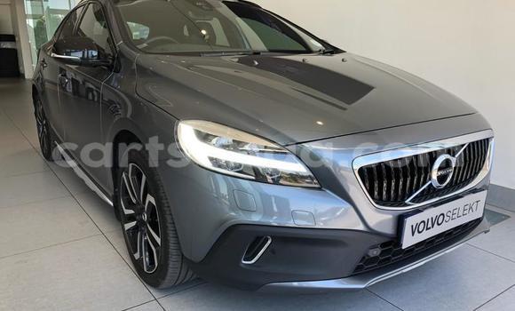 Buy Used Volvo V40 Other Car in Manzini in Manzini