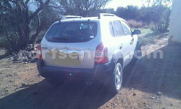 Buy Used Hyundai Tucson Silver Car in Manzini in Swaziland Buy Used Hyundai Tucson Silver Car in Manzini in Swaziland