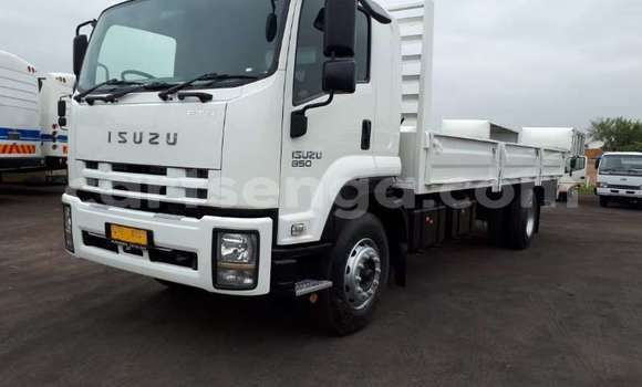 Buy Used Isuzu FTR 850 White Truck in Bhunya in Manzini