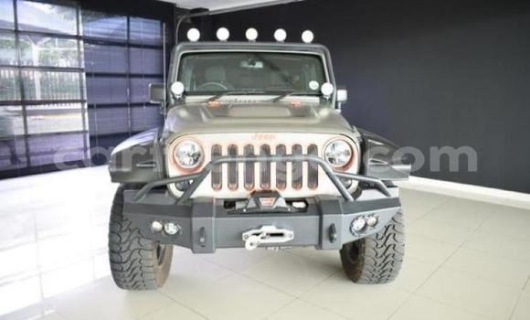 Buy Used Jeep Wrangler Silver Car in Big Bend in Lubombo District