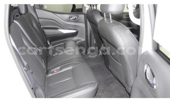 Buy Used Nissan Navara White Car in Simunye in Lubombo District Buy Used Nissan Navara White Car in Simunye in Lubombo District