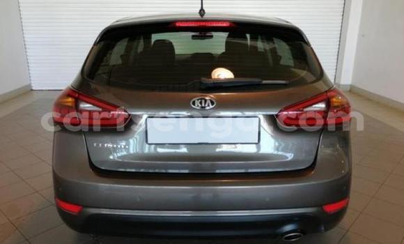 Buy Used Kia Cerato Silver Car in Kubuta in Shiselweni District Buy Used Kia Cerato Silver Car in Kubuta in Shiselweni District