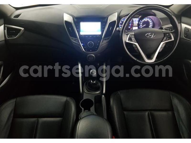 Big with watermark 1 copy copy copy 2 copy