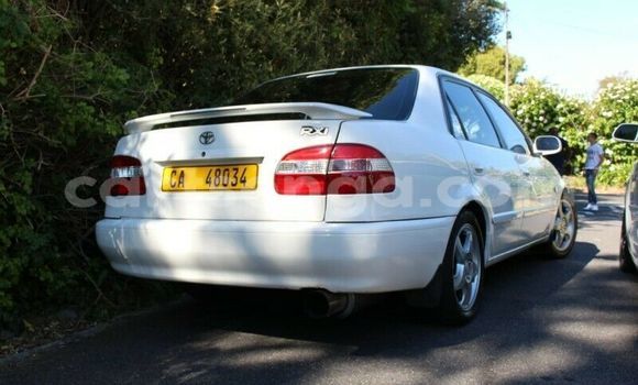 Buy Used Toyota Corolla White Car in Ezulwini in Hhohho Buy Used Toyota Corolla White Car in Ezulwini in Hhohho