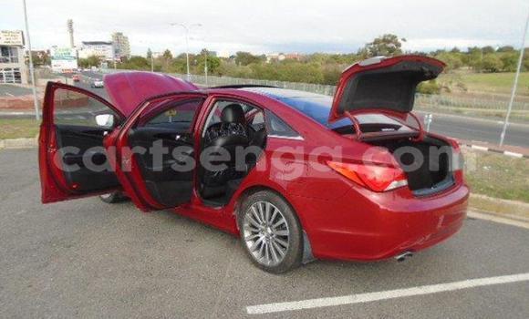 Buy Used Hyundai Sonata Red Car in Mbabane in Manzini Buy Used Hyundai Sonata Red Car in Mbabane in Manzini