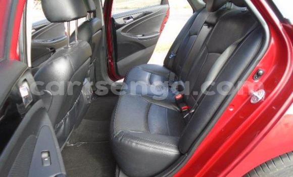 Buy Used Hyundai Sonata Red Car in Mbabane in Manzini Buy Used Hyundai Sonata Red Car in Mbabane in Manzini