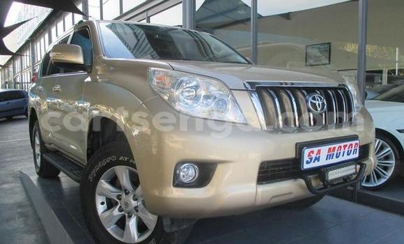 Buy Used Toyota Land Cruiser Other Car in Big Bend in Lubombo District Buy Used Toyota Land Cruiser Other Car in Big Bend in Lubombo District