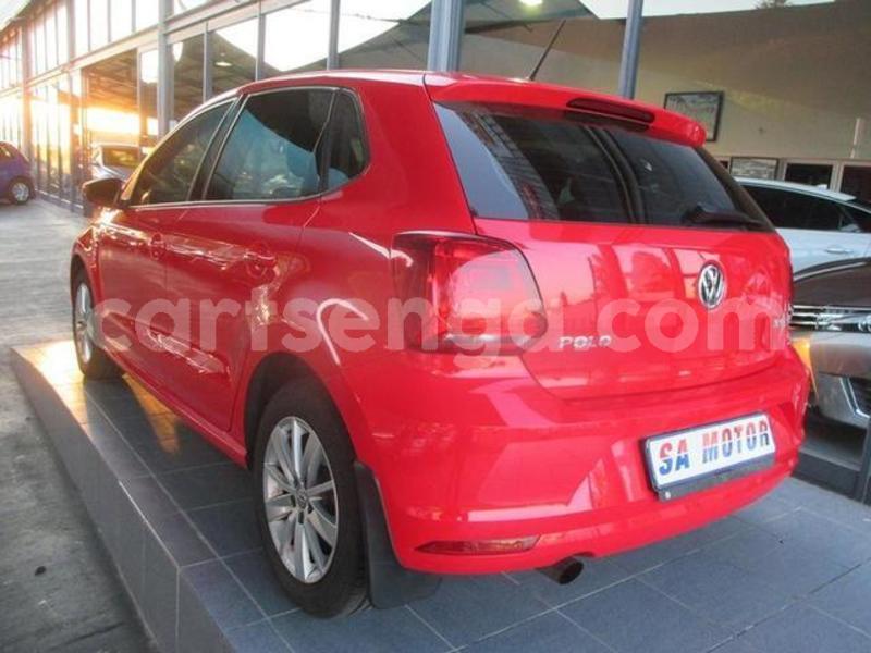 Big with watermark w13