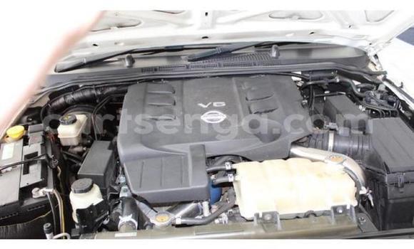 Buy Used Nissan Navara White Car in Kubuta in Shiselweni District Buy Used Nissan Navara White Car in Kubuta in Shiselweni District