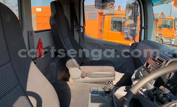Buy Used Mercedes‒Benz Tipper Other Truck in Manzini in Manzini Buy Used Mercedes‒Benz Tipper Other Truck in Manzini in Manzini