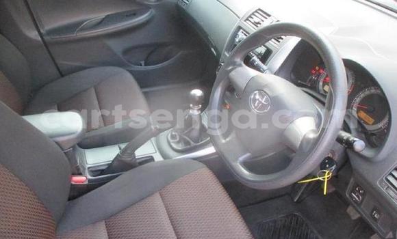 Buy Used Toyota Corolla Blue Car in Big Bend in Lubombo Buy Used Toyota Corolla Blue Car in Big Bend in Lubombo