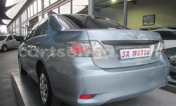 Buy Used Toyota Corolla Blue Car in Big Bend in Lubombo Buy Used Toyota Corolla Blue Car in Big Bend in Lubombo
