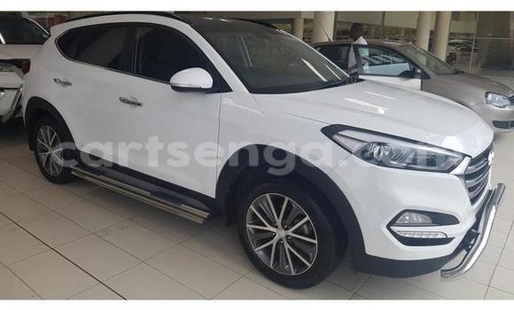 Acheter Occasion Voiture Hyundai Tucson Blanc à Matsapha, Manzini Acheter Occasion Voiture Hyundai Tucson Blanc à Matsapha, Manzini