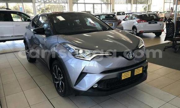 Buy Used Toyota C-HR Silver Car in Manzini in Manzini Buy Used Toyota C-HR Silver Car in Manzini in Manzini