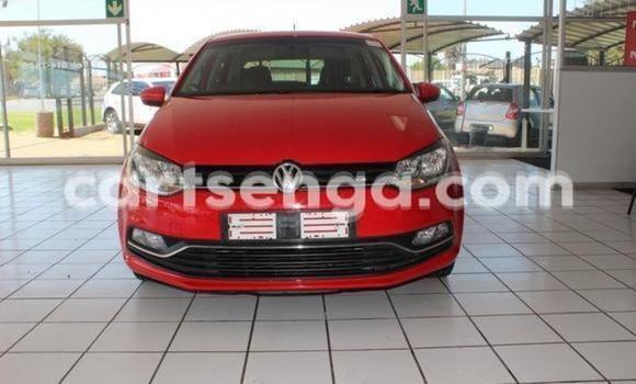 Medium with watermark big with watermark medium with watermark 800 74 