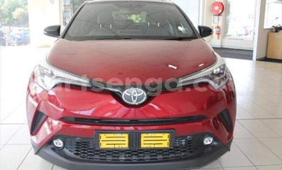 Buy Used Toyota C-HR Red Car in Matsapha in Manzini Buy Used Toyota C-HR Red Car in Matsapha in Manzini