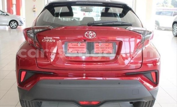 Buy Used Toyota C-HR Red Car in Matsapha in Manzini Buy Used Toyota C-HR Red Car in Matsapha in Manzini