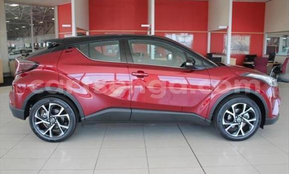 Buy Used Toyota C-HR Red Car in Matsapha in Manzini Buy Used Toyota C-HR Red Car in Matsapha in Manzini
