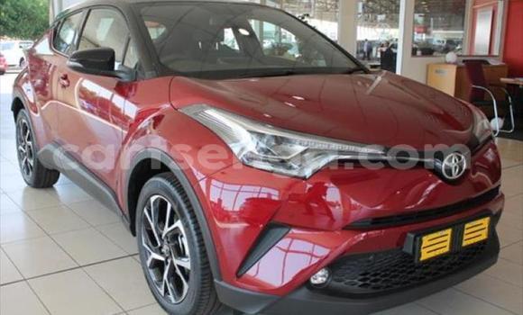 Buy Used Toyota C-HR Red Car in Matsapha in Manzini Buy Used Toyota C-HR Red Car in Matsapha in Manzini