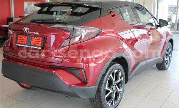 Buy Used Toyota C-HR Red Car in Matsapha in Manzini Buy Used Toyota C-HR Red Car in Matsapha in Manzini