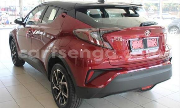 Buy Used Toyota C-HR Red Car in Matsapha in Manzini Buy Used Toyota C-HR Red Car in Matsapha in Manzini