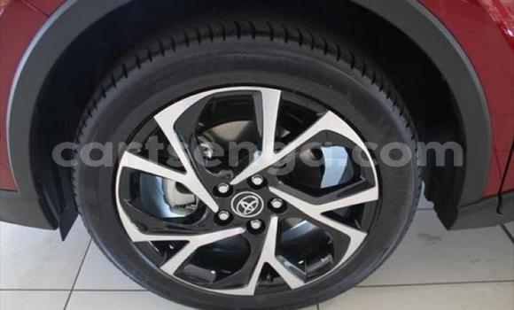 Buy Used Toyota C-HR Red Car in Matsapha in Manzini Buy Used Toyota C-HR Red Car in Matsapha in Manzini