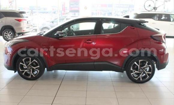 Buy Used Toyota C-HR Red Car in Matsapha in Manzini Buy Used Toyota C-HR Red Car in Matsapha in Manzini