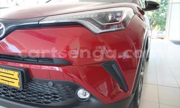 Buy Used Toyota C-HR Red Car in Matsapha in Manzini Buy Used Toyota C-HR Red Car in Matsapha in Manzini