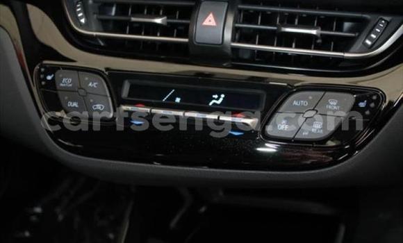 Buy Used Toyota C-HR Red Car in Matsapha in Manzini Buy Used Toyota C-HR Red Car in Matsapha in Manzini