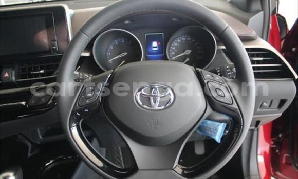 Buy Used Toyota C-HR Red Car in Matsapha in Manzini Buy Used Toyota C-HR Red Car in Matsapha in Manzini