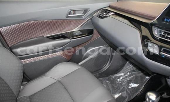 Buy Used Toyota C-HR Red Car in Matsapha in Manzini Buy Used Toyota C-HR Red Car in Matsapha in Manzini