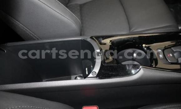 Buy Used Toyota C-HR Red Car in Matsapha in Manzini Buy Used Toyota C-HR Red Car in Matsapha in Manzini