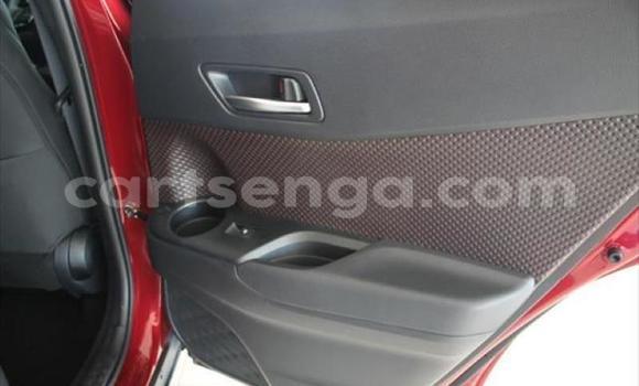 Buy Used Toyota C-HR Red Car in Matsapha in Manzini Buy Used Toyota C-HR Red Car in Matsapha in Manzini