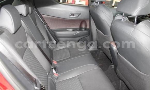 Buy Used Toyota C-HR Red Car in Matsapha in Manzini Buy Used Toyota C-HR Red Car in Matsapha in Manzini