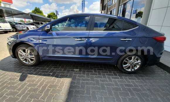 Acheter Occasion Voiture Hyundai Elantra Bleu à Matsapha, Manzini Acheter Occasion Voiture Hyundai Elantra Bleu à Matsapha, Manzini
