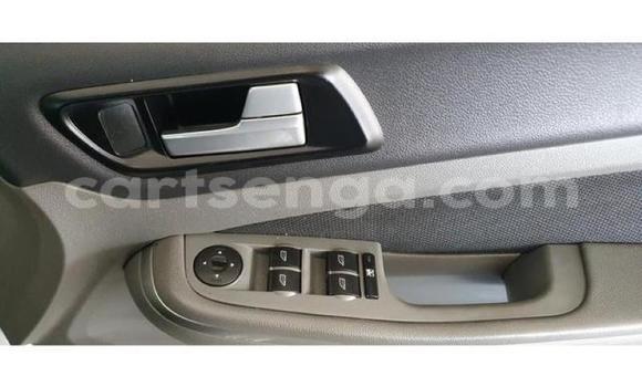 Buy Used Ford Focus Silver Car in Mbabane in Manzini Buy Used Ford Focus Silver Car in Mbabane in Manzini