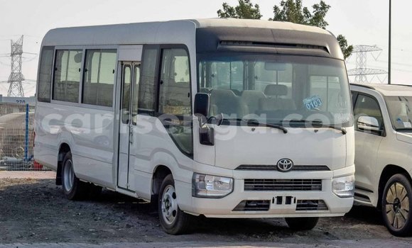 Buy Import Toyota Coaster White Car in Import - Dubai in Hhohho Buy Import Toyota Coaster White Car in Import - Dubai in Hhohho