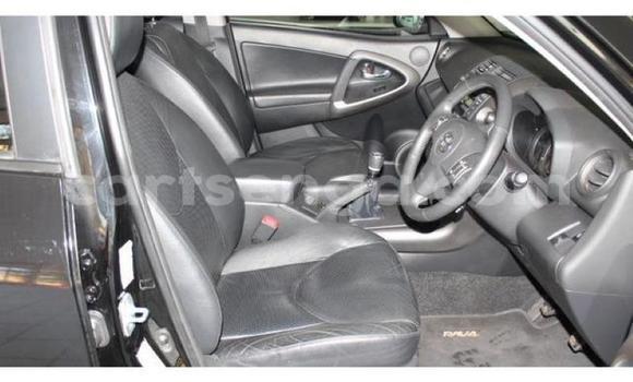 Acheter Occasion Voiture Toyota RAV4 Noir à Kubuta, Shiselweni District Acheter Occasion Voiture Toyota RAV4 Noir à Kubuta, Shiselweni District