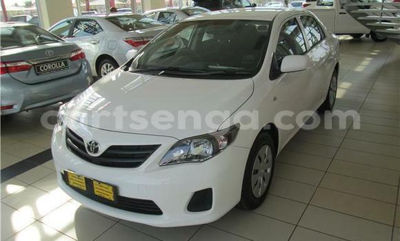 Buy Used Toyota Corolla White Car in Ezulwini in Hhohho Buy Used Toyota Corolla White Car in Ezulwini in Hhohho